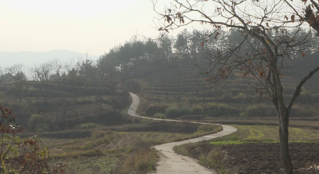 李家山镇新项目，引领地方发展的强大引擎