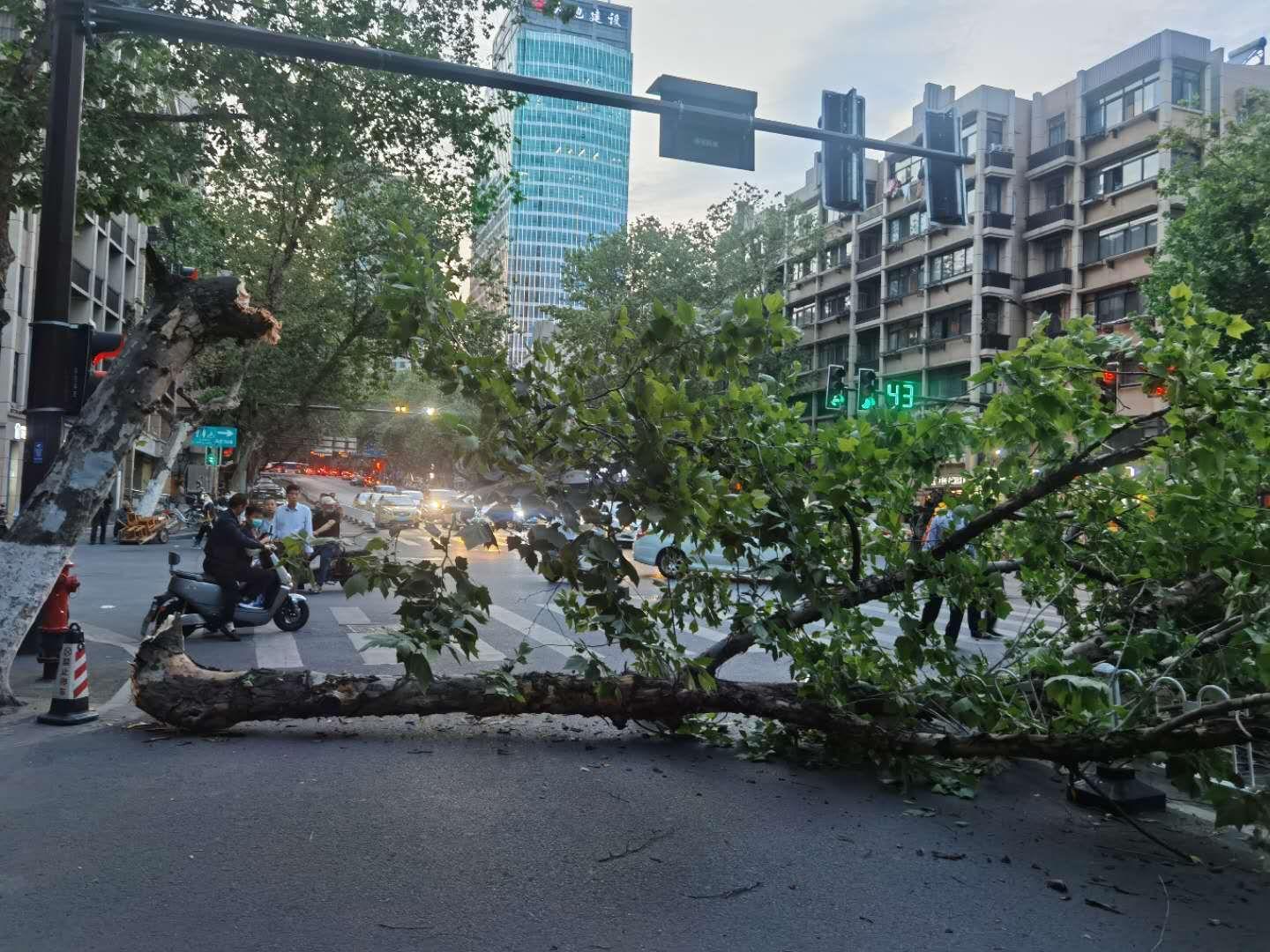 华侨路街道交通优化新闻，改善交通环境，提升居民出行体验