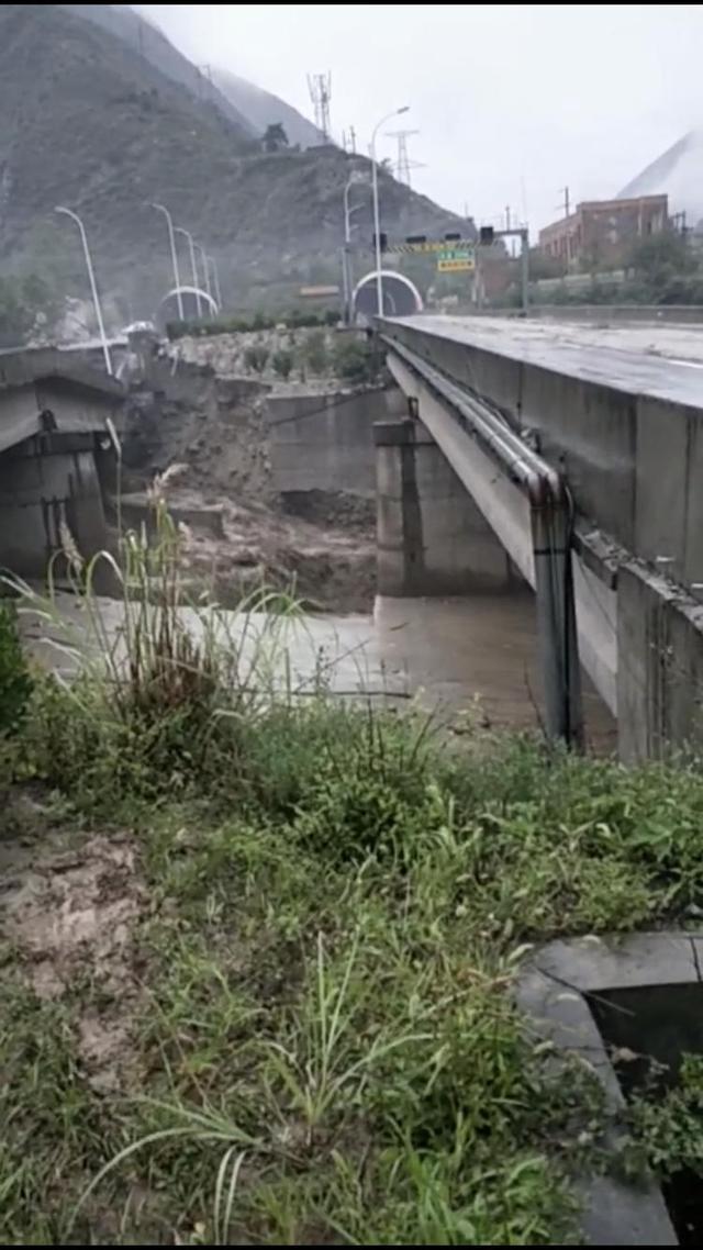 红原县市场监督管理局新项目，地方经济跃升新引擎